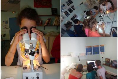 Agrandir l'image 7 sur 8, fenêtre modale