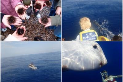 Agrandir l'image 1 sur 8, fenêtre modale