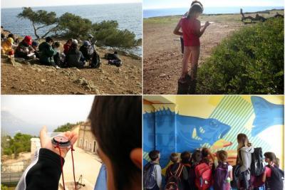 Agrandir l'image 4 sur 8, fenêtre modale