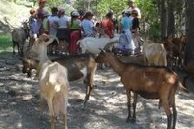 Agrandir l'image 4 sur 7, fenêtre modale