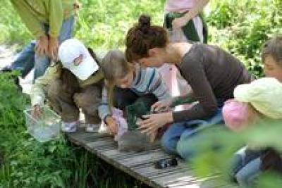 Agrandir l'image 8 sur 10, fenêtre modale