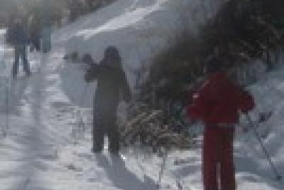 Agrandir l'image 1 sur 9, fenêtre modale