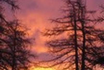 Agrandir l'image 6 sur 9, fenêtre modale