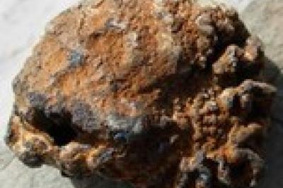 Agrandir l'image 2 sur 7, fenêtre modale