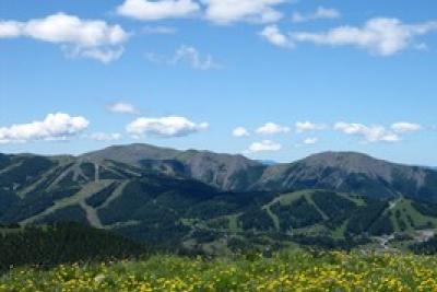 Agrandir l'image 1 sur 7, fenêtre modale