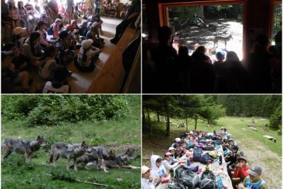 Agrandir l'image 13 sur 14, fenêtre modale