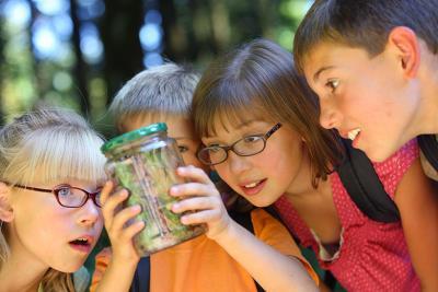 Agrandir l'image 4 sur 4, fenêtre modale