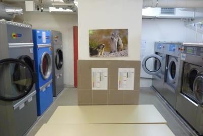 Agrandir l'image 11 sur 13, fenêtre modale